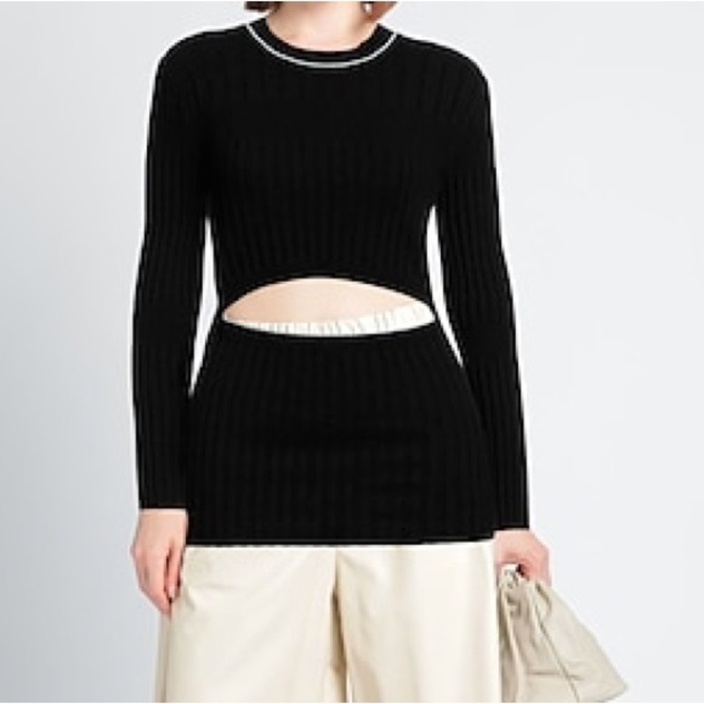 Proenza Schouler sweater